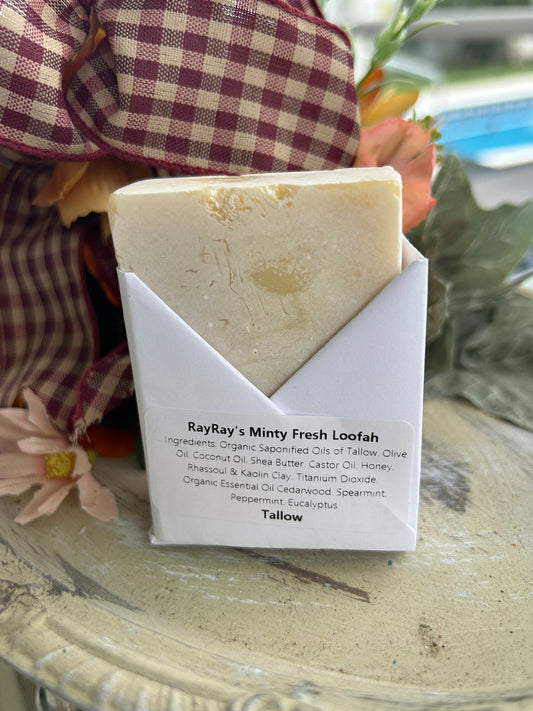 Ray Ray's Sunshine Loofah Bar Soap
