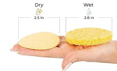 http://honeybeepampering.com/cdn/shop/files/compressedsponge.jpg?v=1689197425