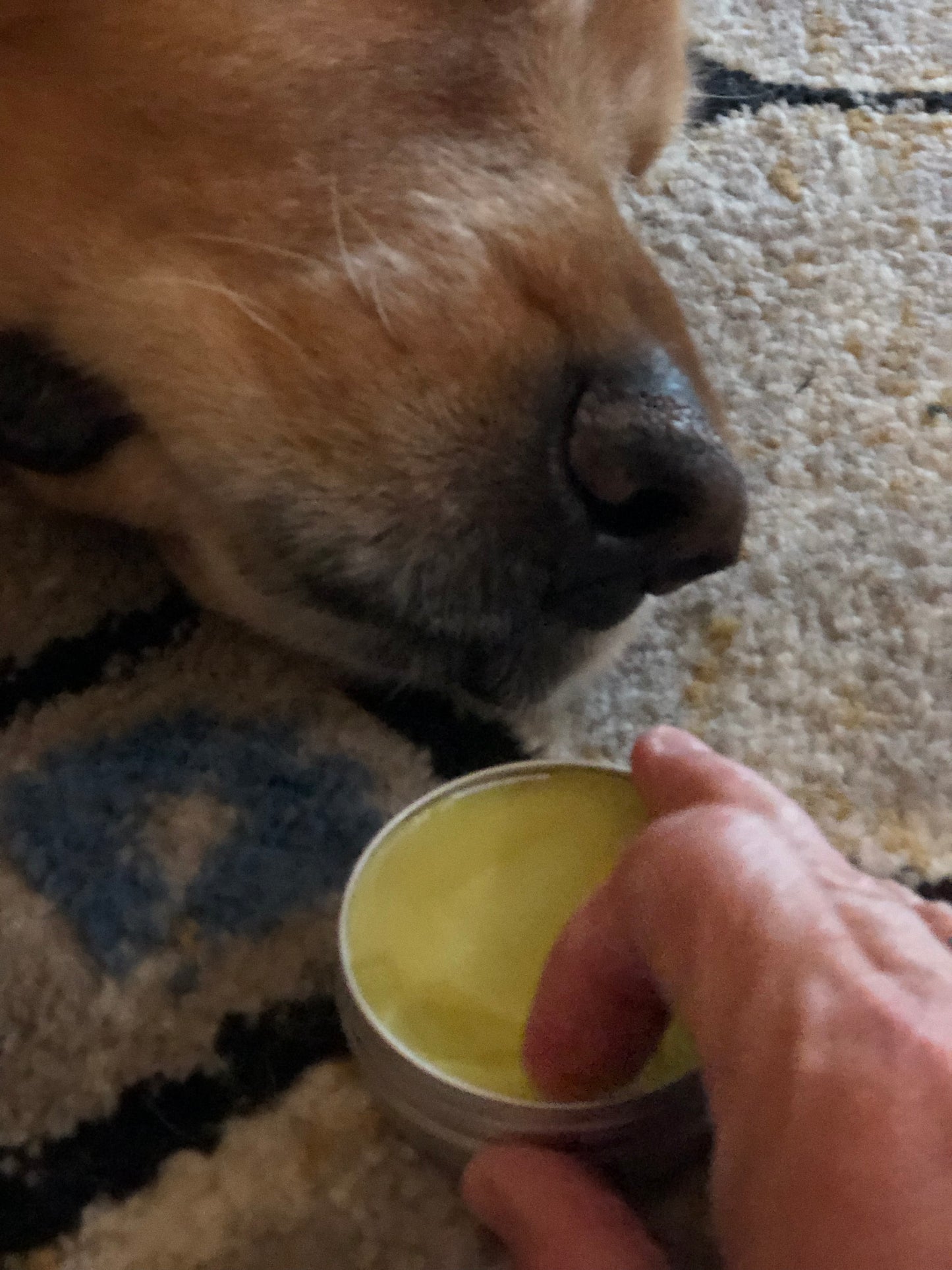 Paw Balm